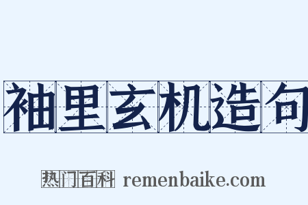 袖里玄机造句是什么意思的图片